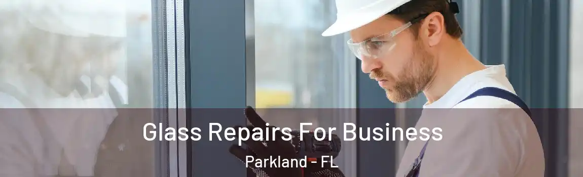 Glass Repairs For Business Parkland - FL