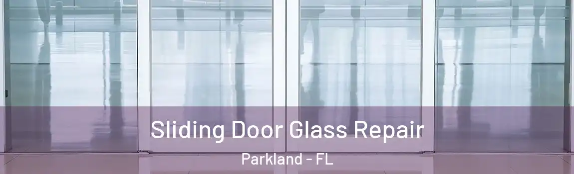 Sliding Door Glass Repair Parkland - FL