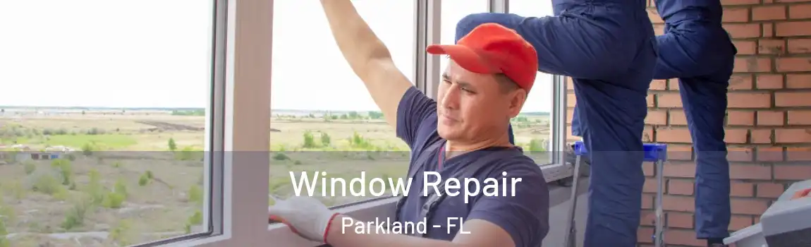 Window Repair Parkland - FL